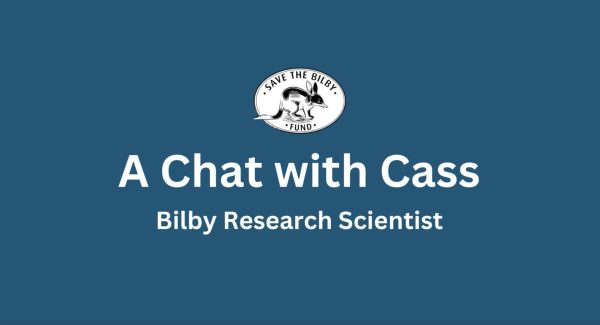 The Save the Bilby Fund black and white logo on a blue background. The words A Chat with Cass Bilby Research Scientist are below.