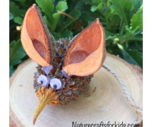 Bilby Nature Craft