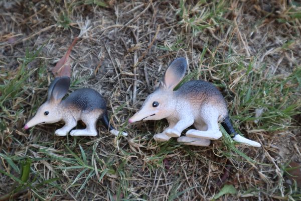 Cute Plastic Bilby - Image 2