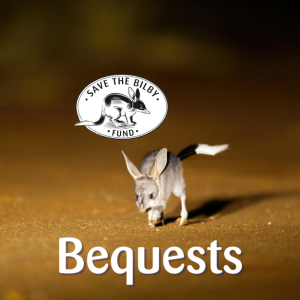 A young bilby photographed at night in the arid desert. A black and white Save the Bilby Fund Logo is above, and the word Bequests is below.