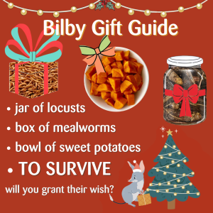 Bilby Gift Guide. a gift wrapped box of mealworms, a bowl of sweet potato with a bow, a jar of locusts with a bow. TO SURVIVE "will your grant their wish?" a bilby in a Santa Hat standing next to a Christmas tree