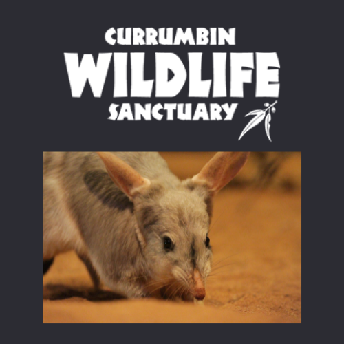 Currumbin Wildlife Sanctuary logo and an image of a bilby