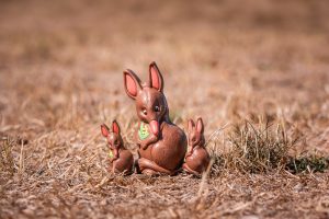 Bailey the Bilby and her twin chocolate babies sit in the grass, looking cute and delicious, the perfect chocolate gift for Easter.