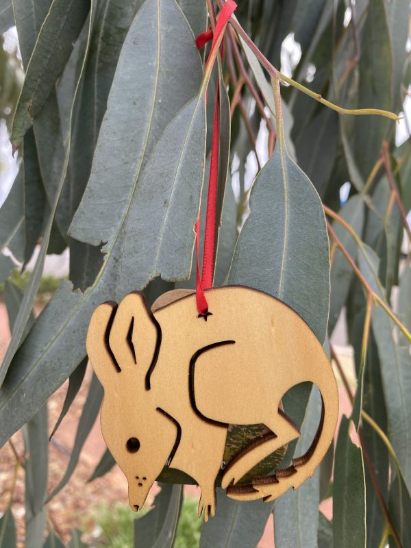 A Christmas bilby decoration hanging off an eucalyptus tree