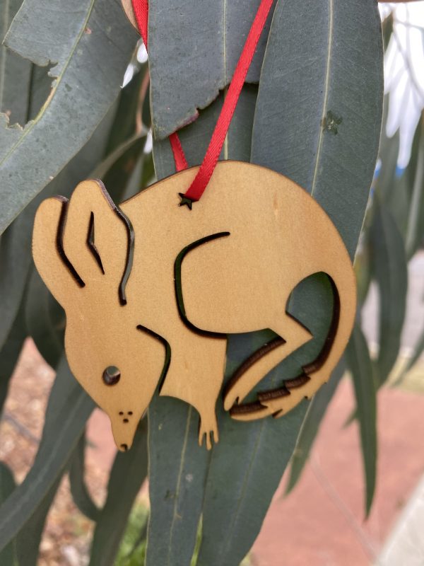 A Christmas bilby decoration hanging off an eucalyptus tree