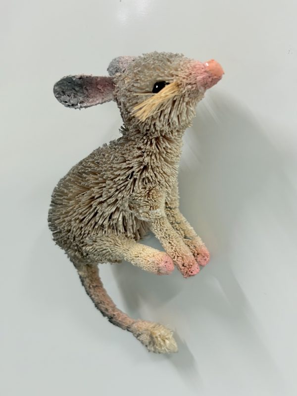 adorable bilby magnet
