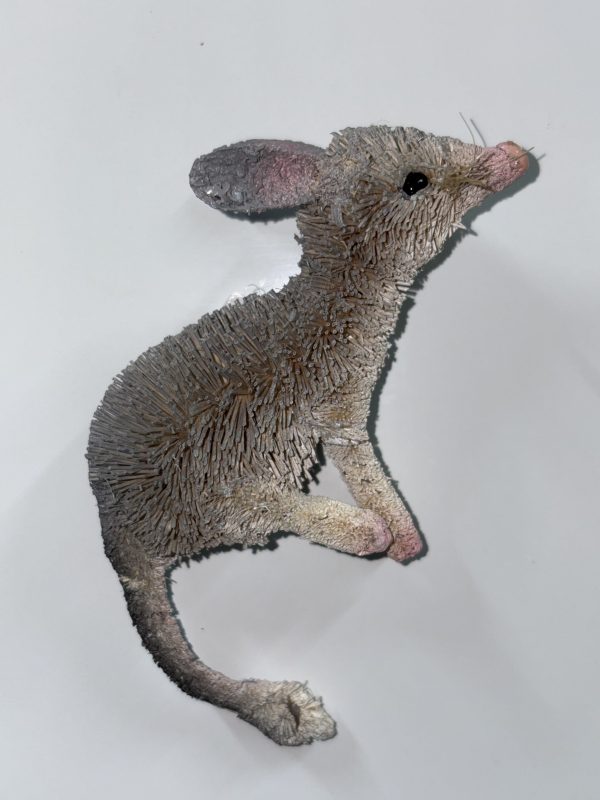 bilby magnet