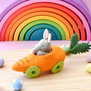 felt bilby in carrot car