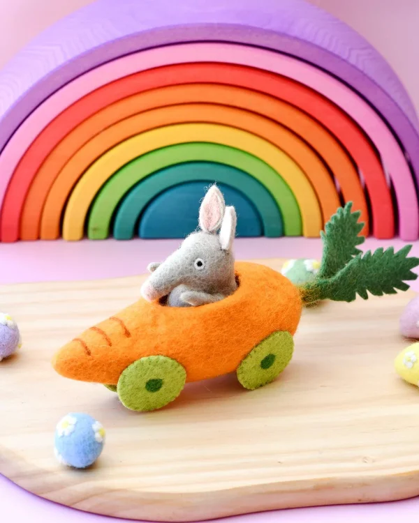 felt bilby in carrot car