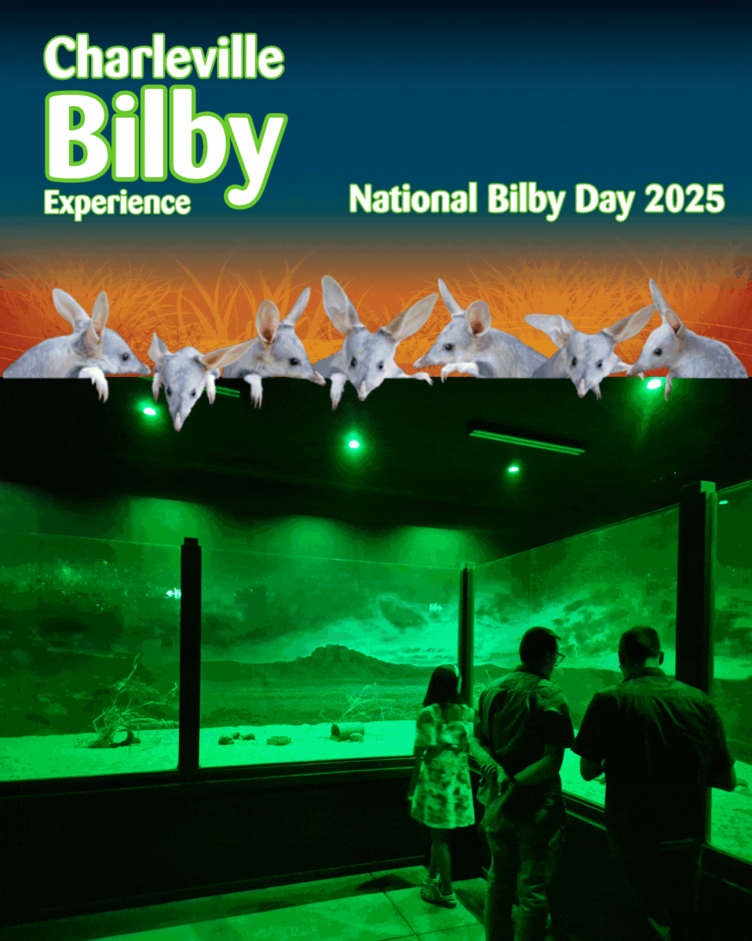 Charleville National Bilby Day