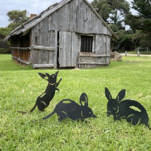Corten Steel Bilbies on green grass