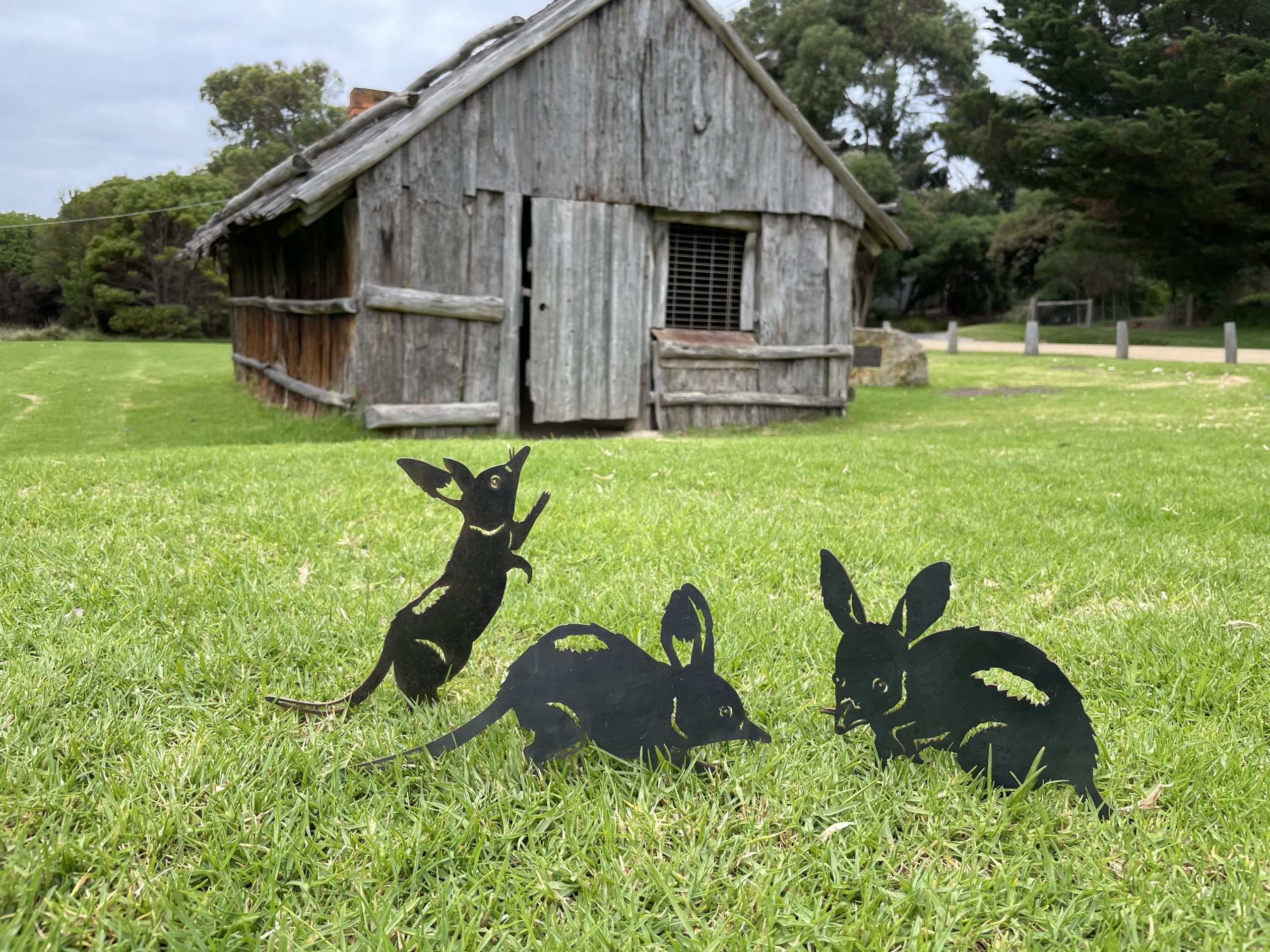 Corten Steel Bilbies on green grass