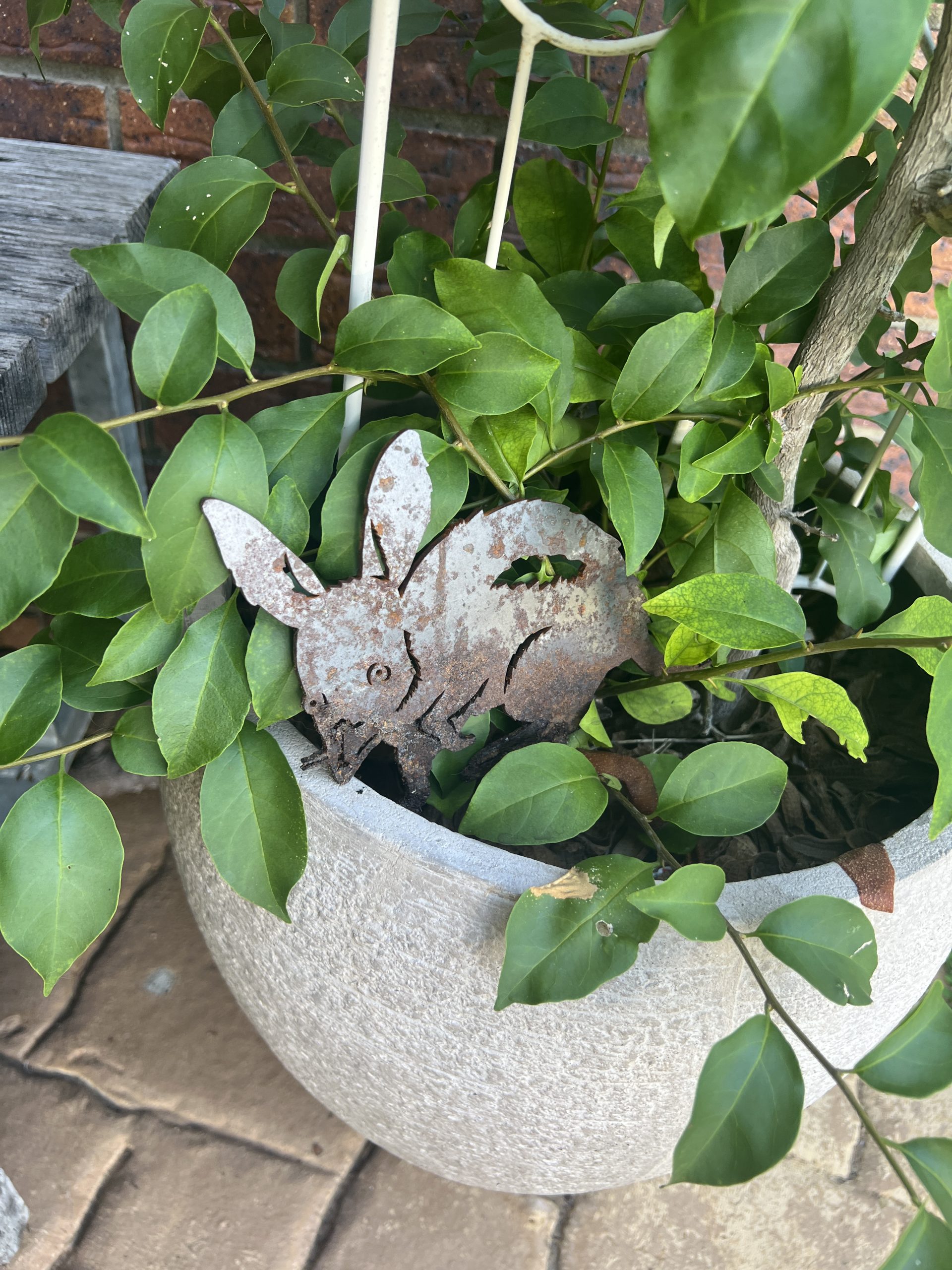 Bilby Mum with patina starting