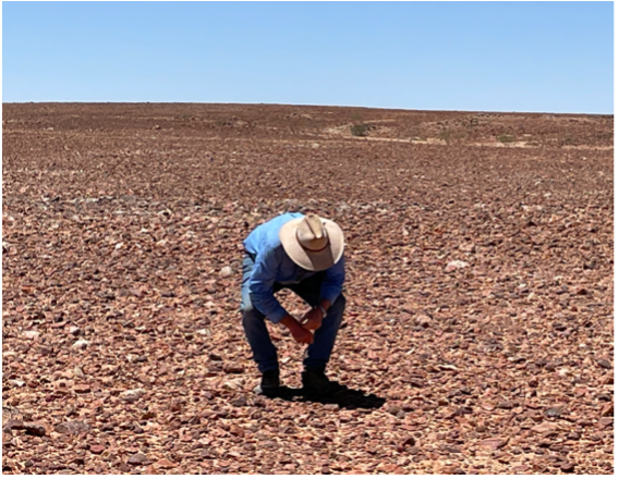 Kev in the harsh desert, outback western Queensland. Looking for signs of bilbies.