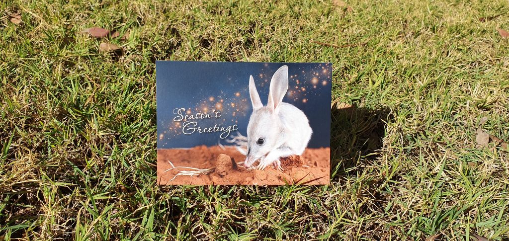 Season's Greeting Bilby Christmas Holiday Card