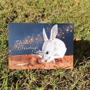 Season's Greeting Bilby Christmas Holiday Card