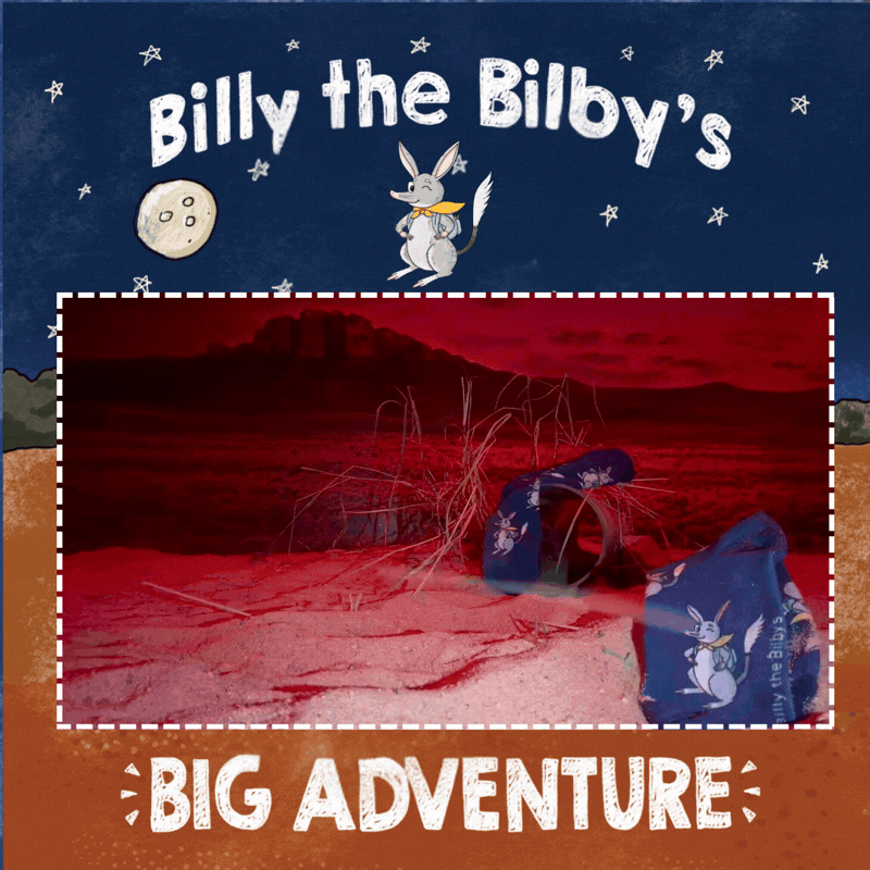 Billy the Bilby Socks - Image 2